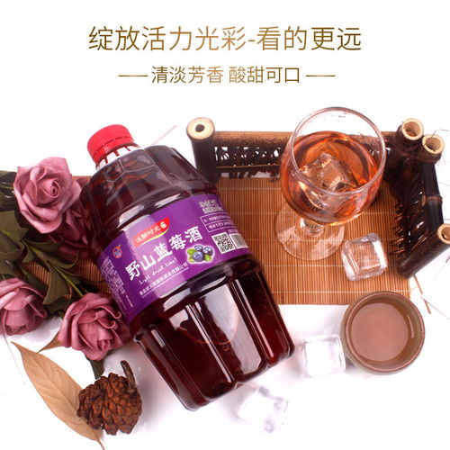野山蓝莓酒 国产微醺甜酒，女士低度佳饮